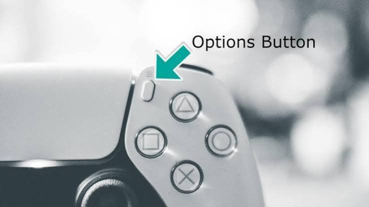 Option Button